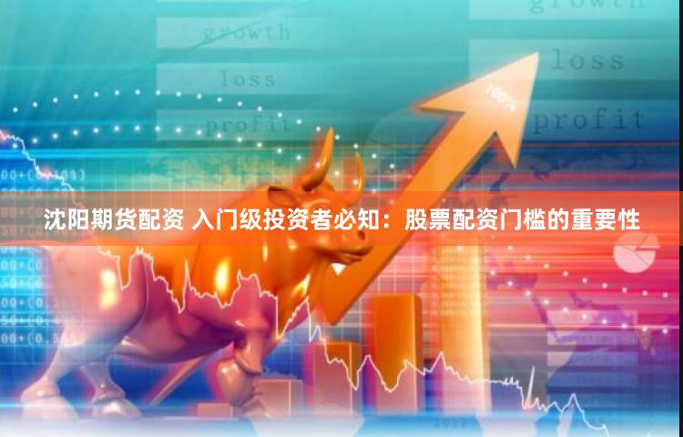 沈阳期货配资 入门级投资者必知：股票配资门槛的重要性