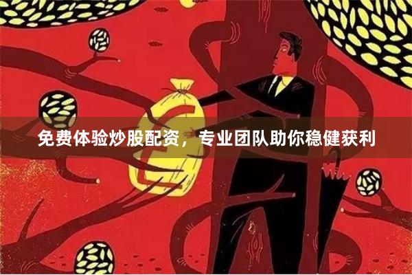 免费体验炒股配资，专业团队助你稳健获利