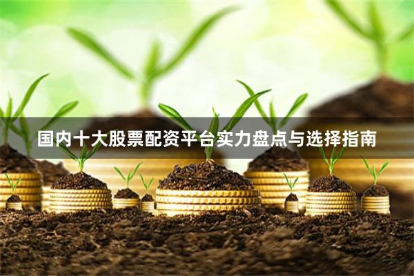 国内十大股票配资平台实力盘点与选择指南